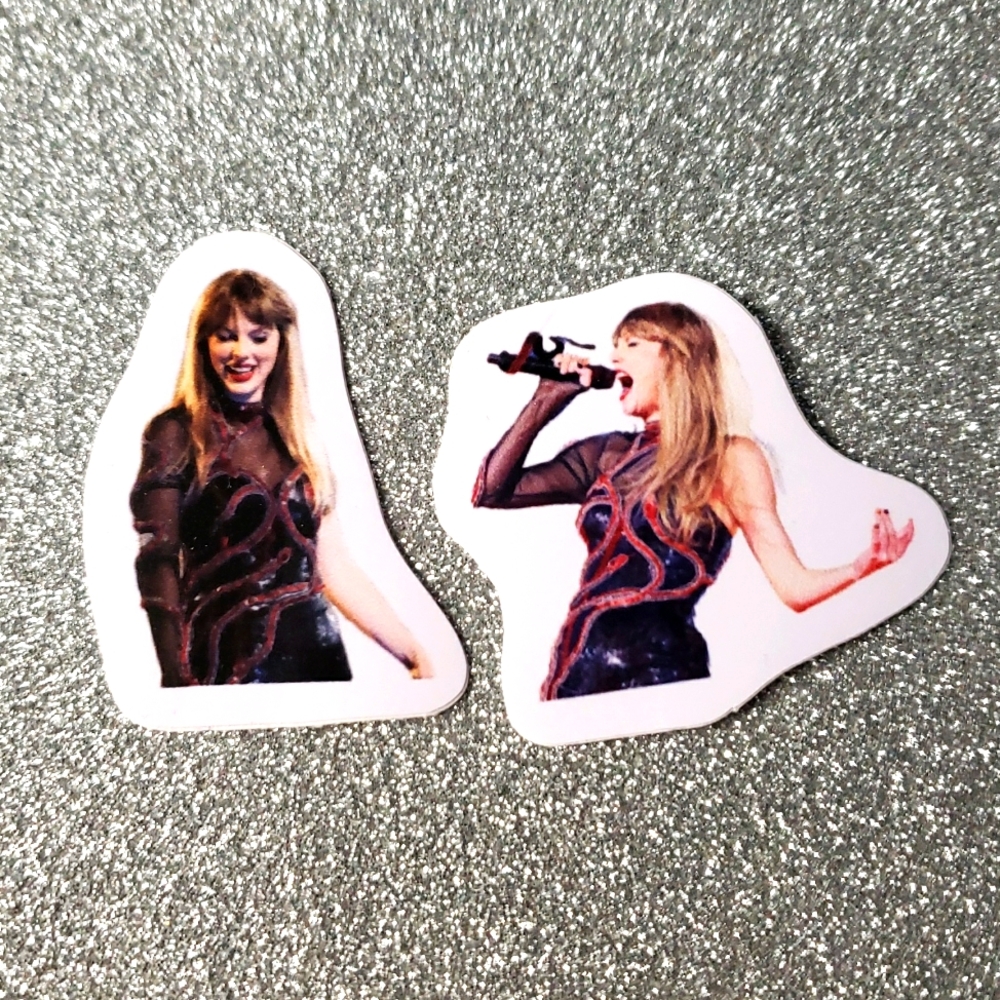 10/$10 Taylor Swift REPUTATION Waterproof Sticker